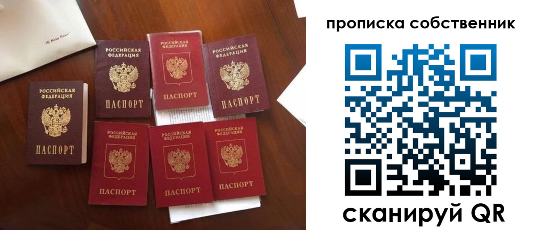 прописка для школы в Краснознаменске